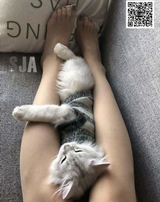 run away韩剧在线高清免费观看_免费高清在线观看